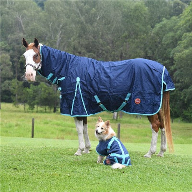 Kozy Winter Horse Rugs 5ft9 / Navy/Turquoise Binding Kozy 1200D Lite Rain Sheet Combo
