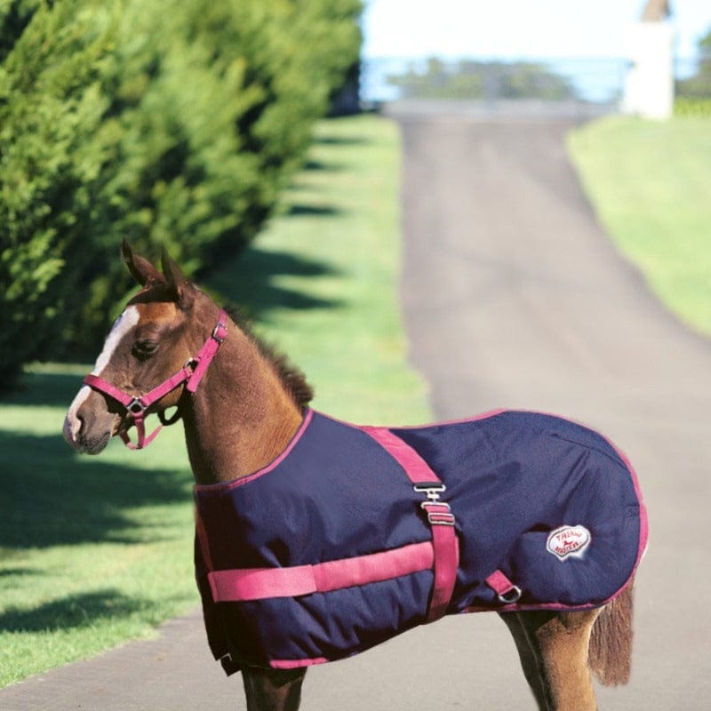Kozy Winter Horse Rugs Navy/Pink Trim ThermoMaster Growing Foal Rug