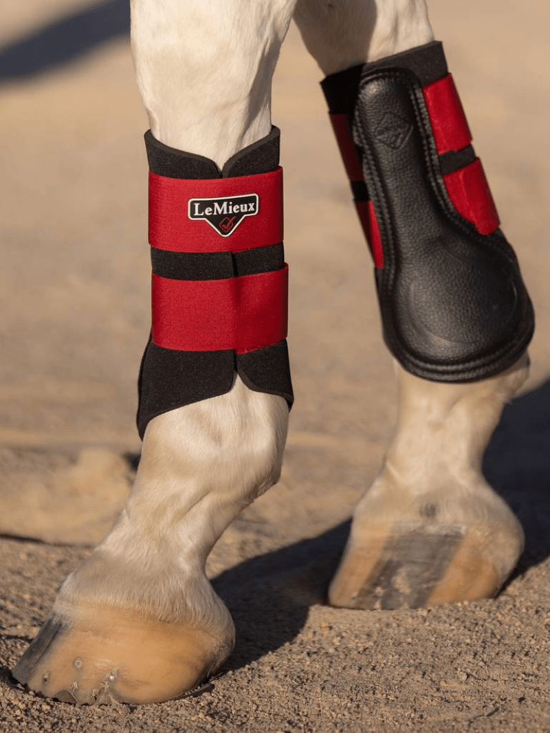 LeMieux Horse Boots & Bandages Large / Chilli Lemieux Grafter Boots