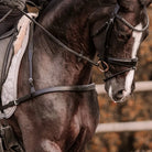Lumiere Breastplates - Martingales Full / Black Lumiere Breastplate Alicia Dressage
