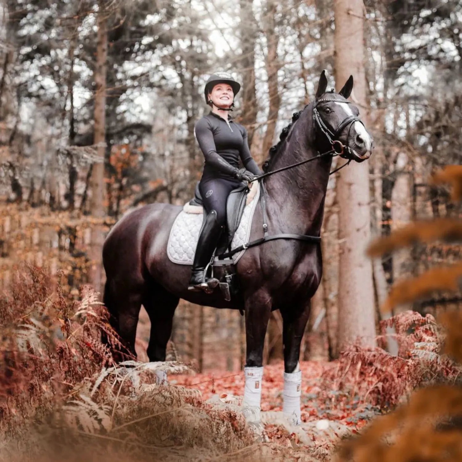 Lumiere Breastplates - Martingales Full / Black Lumiere Breastplate Alicia Dressage