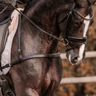 Lumiere Breastplates - Martingales Full / Black Lumiere Breastplate Alicia Dressage
