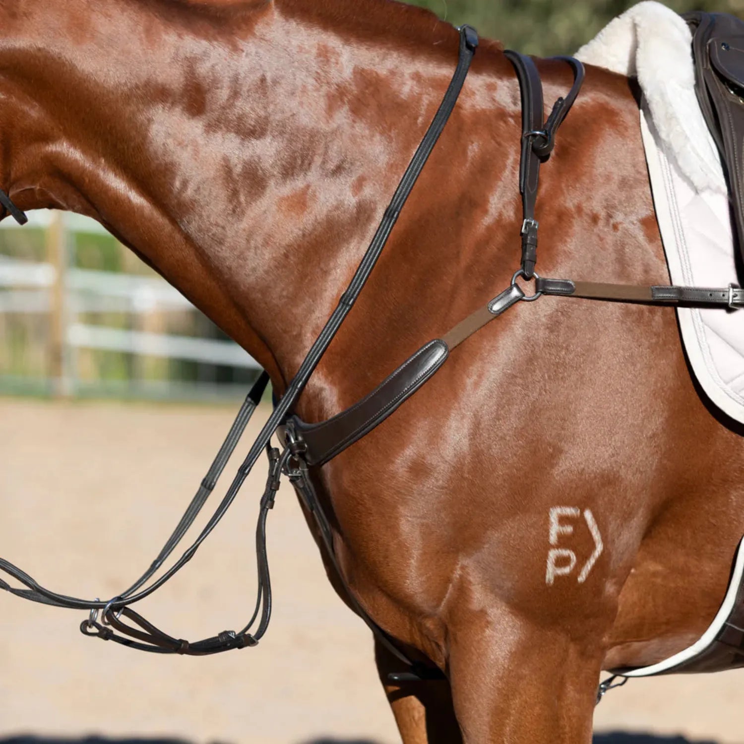 Lumiere Breastplates - Martingales Full / Black Lumiere Breastplate Parker Bridge