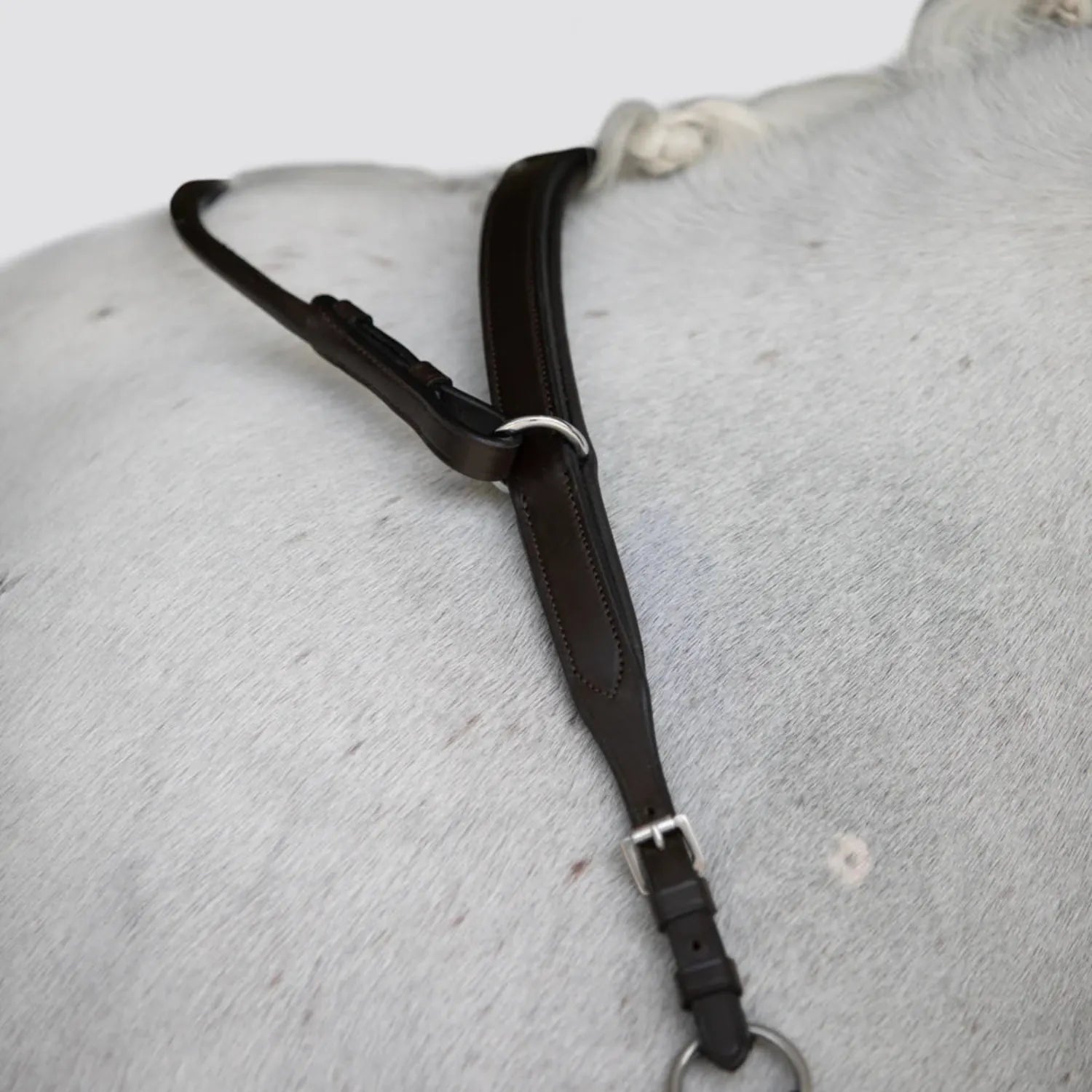 Lumiere Breastplates - Martingales Full / Black Lumiere Breastplate Parker Bridge