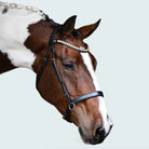 Lumiere Bridles Cob / Black Lumiere Bridle Seline Bitless
