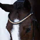 Lumiere Bridles Cob / Black Lumiere Bridle Seline Bitless
