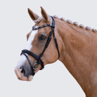 Lumiere Bridles Full / Black Lumiere Bridle Demi