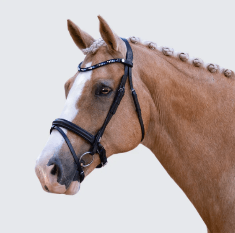 Lumiere Bridles Full / Black Lumiere Bridle Demi