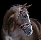 Lumiere Bridles Full / Oak Brown Lumiere Bridle Arabella Hanoverian