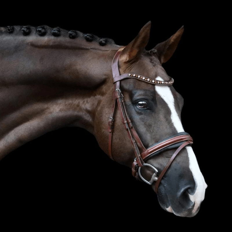 Lumiere Bridles Full / Oak Brown Lumiere Bridle Arabella Hanoverian