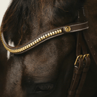 Lumiere Bridles Lumiere Bridle Dallas