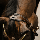 Lumiere Bridles Lumiere Bridle Dallas