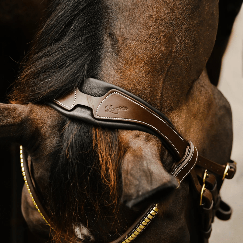 Lumiere Bridles Lumiere Bridle Dallas