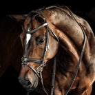 Lumiere Bridles Lumiere Bridle Milan (L23211)
