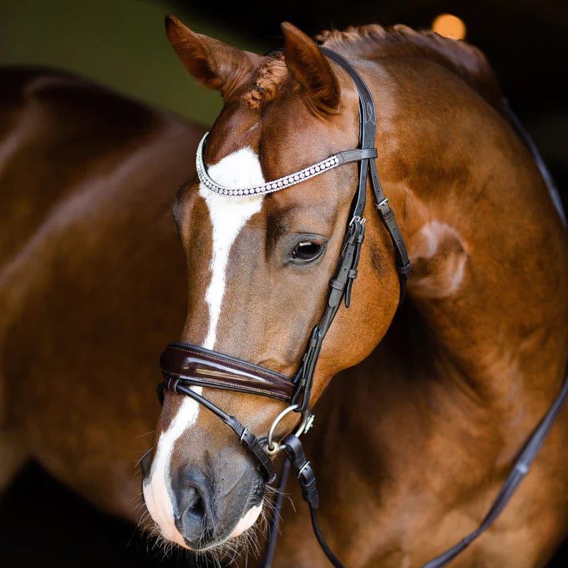 Lumiere Bridles Pony / Brown Lumiere Amie Rolled Leather Bridle