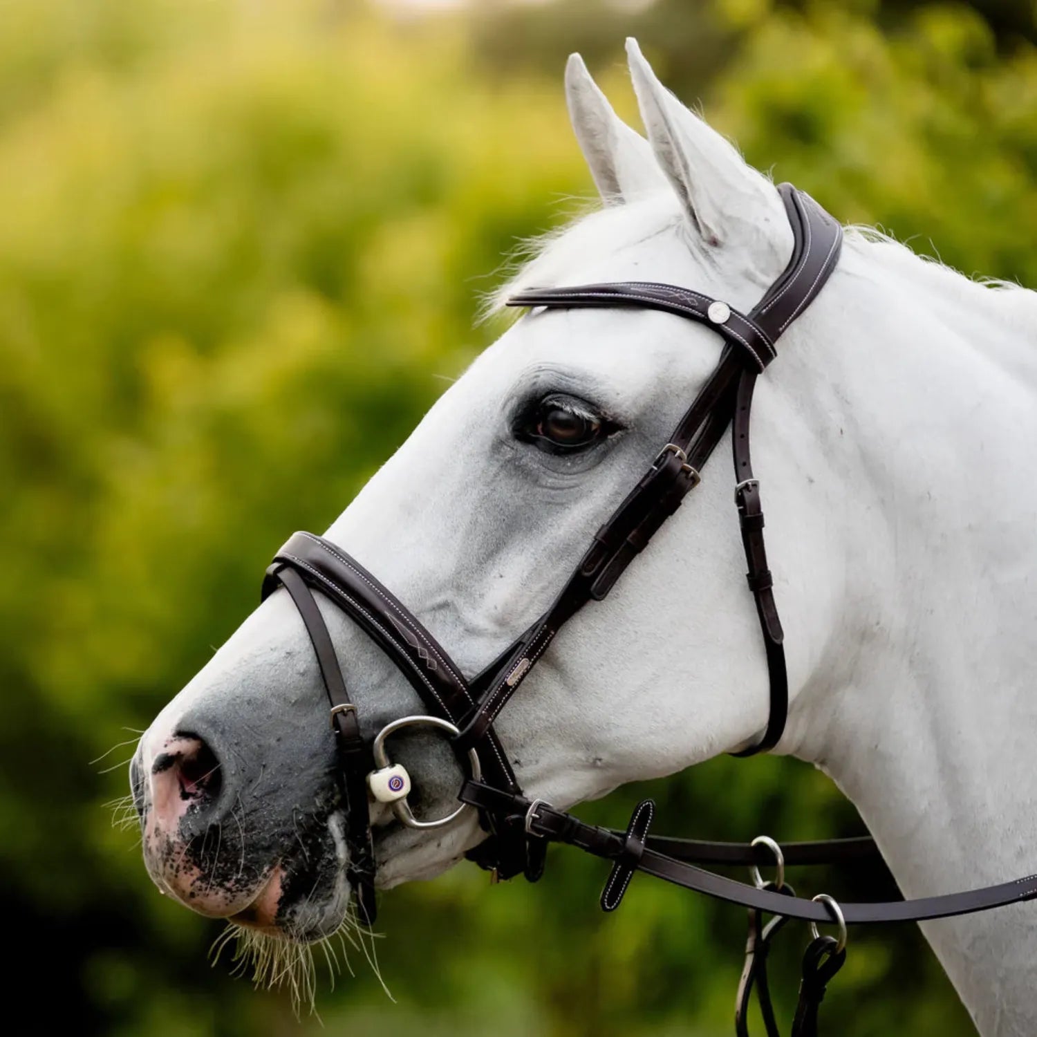 Lumiere Bridles Pony / Brown Lumiere Bridle Milan (L23211)