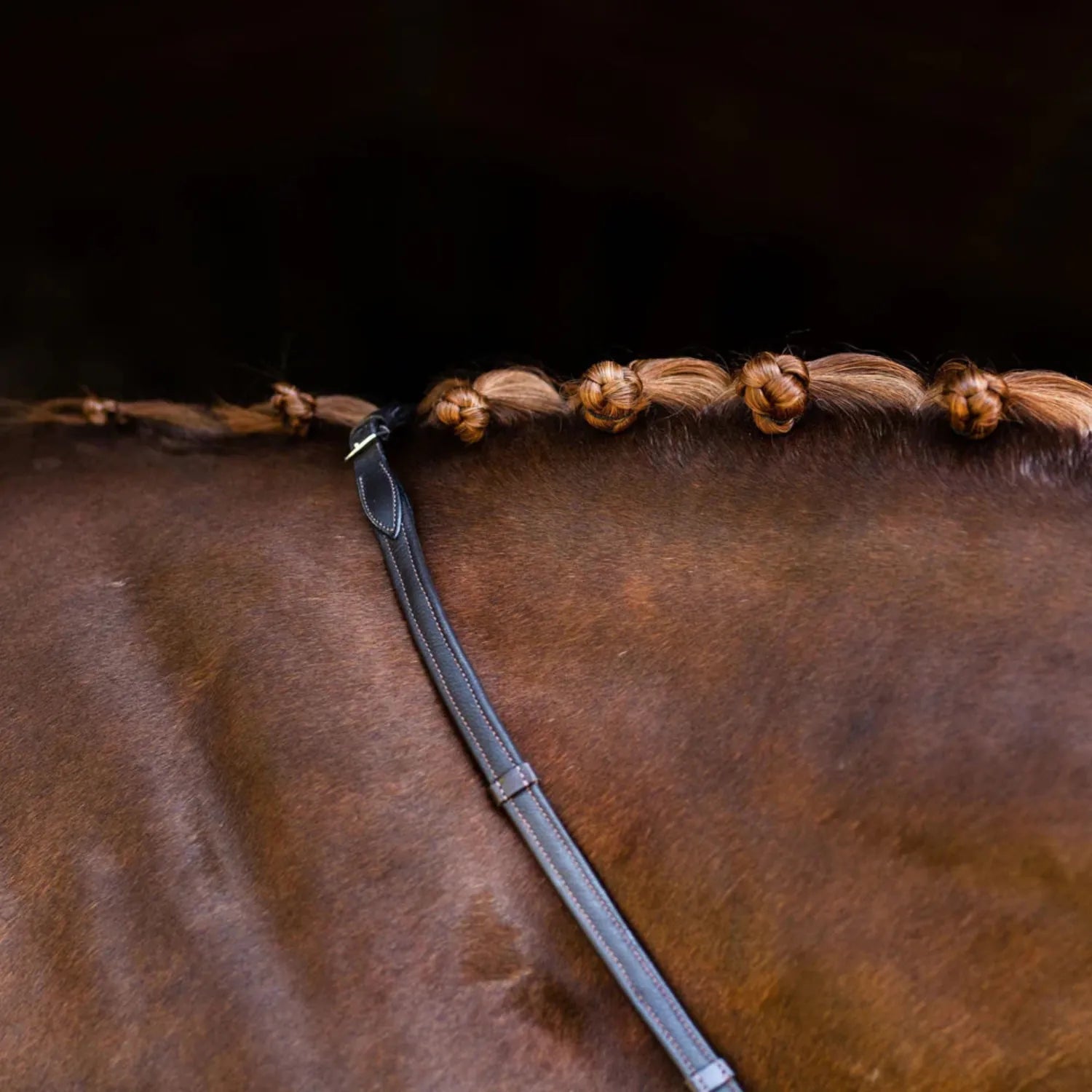 Lumiere Reins Lumiere Padded Leather Reins