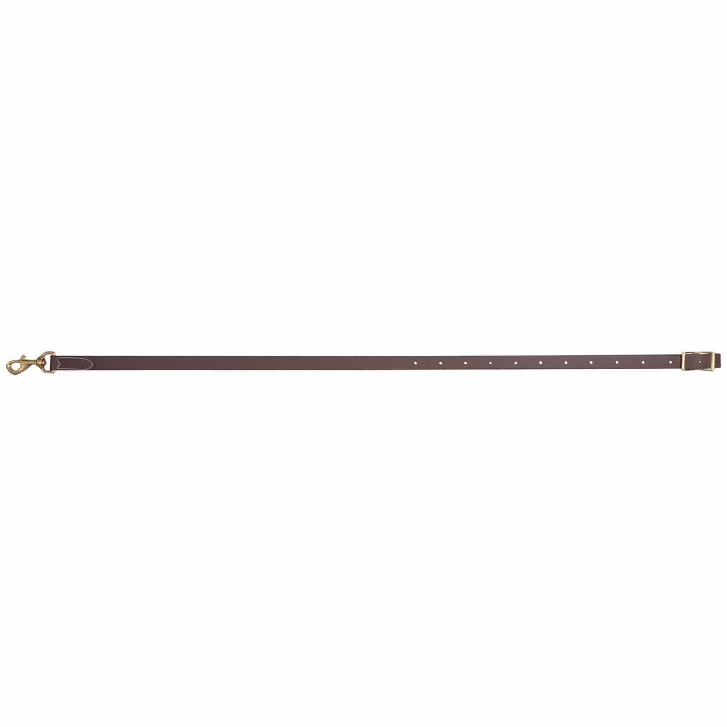 Martin Saddlery Breastplates - Martingales Martin Saddlery Tie Down Strap Biothane 3/4in