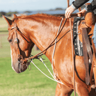 Martins Saddlery Breastplates - Martingales White Martin Saddlery String Martingale