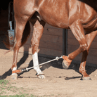 Martins Saddlery Training Equipment Sideline Hobbles