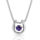 Montana Silversmiths Jewellery February Montana Silversmiths Necklace Horseshoe with Birthstone