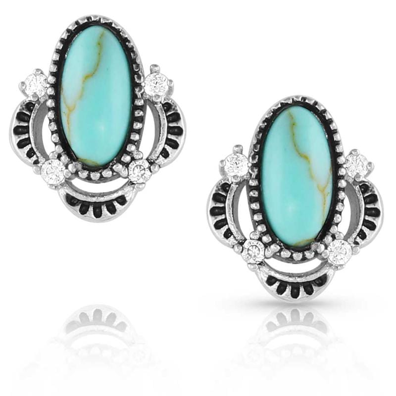 Montana Silversmiths Jewellery Montana Silversmiths Earrings Turquoise Treasure