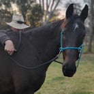 Nungar Knots Halters Cob / Blue Nungar Knots Side Pull Halter