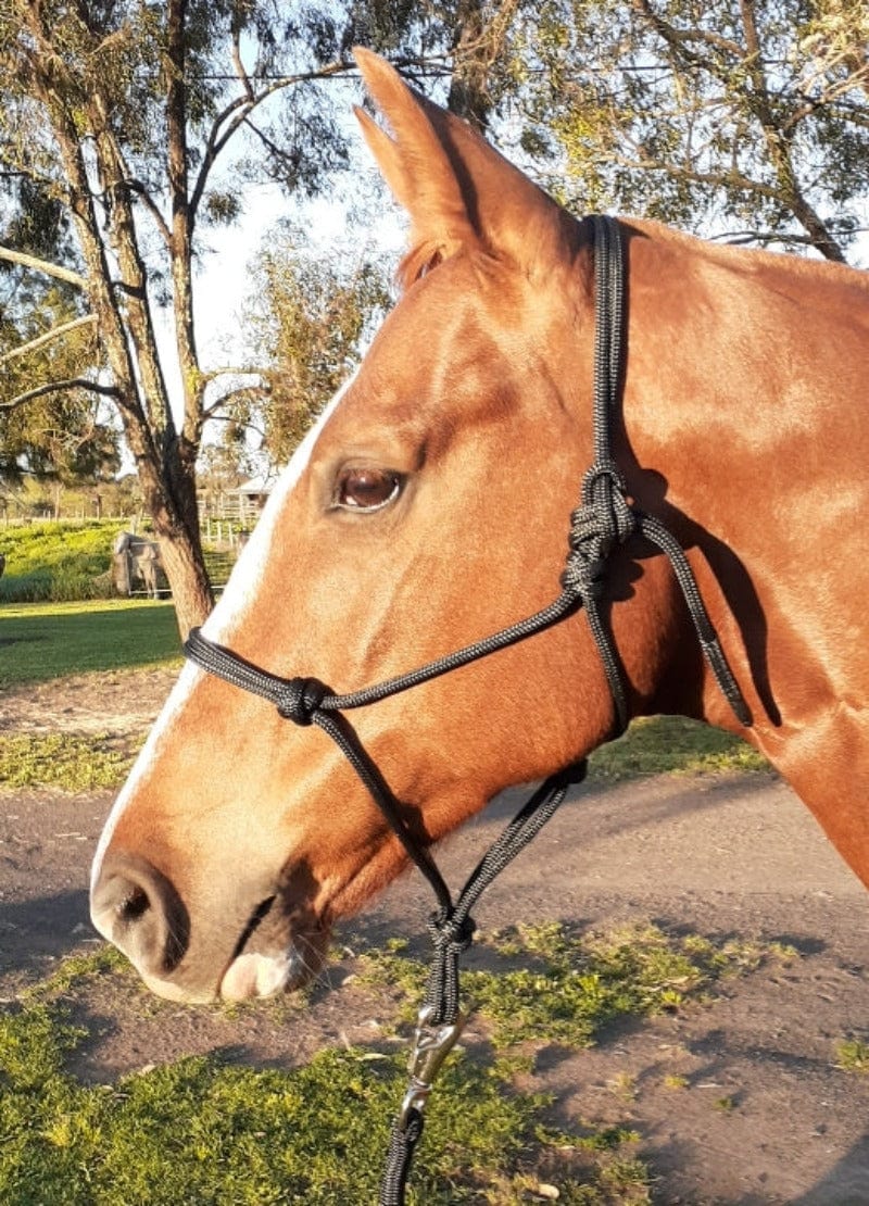 Nungar Knots 6mm Yachting Rope Halter – Gympie Saddleworld & Country ...