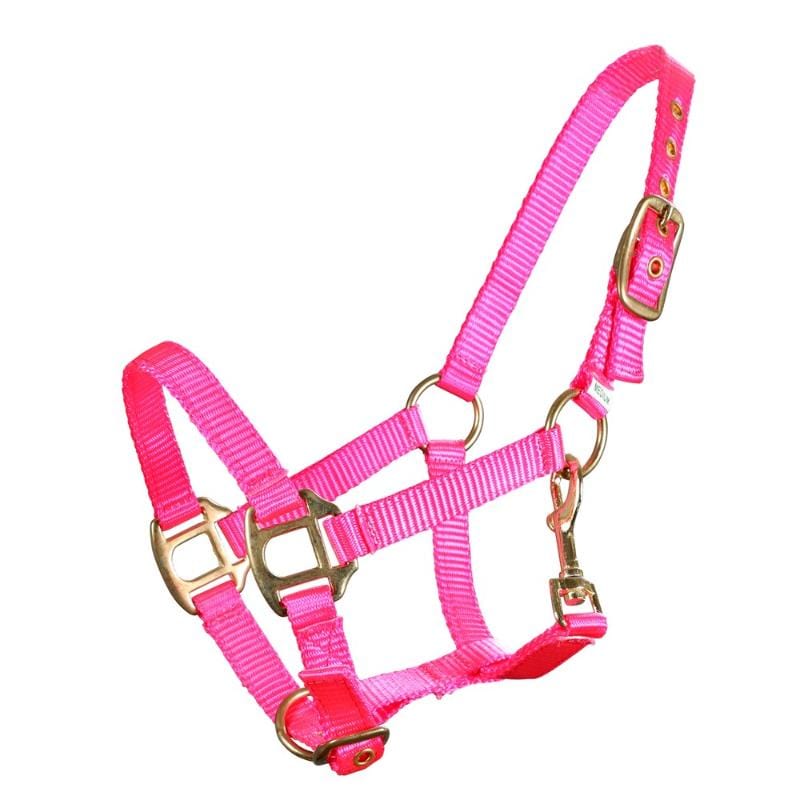 Piccolo Halters Mini / Pink Piccolo Nylon Mini Halter (PIC1500)