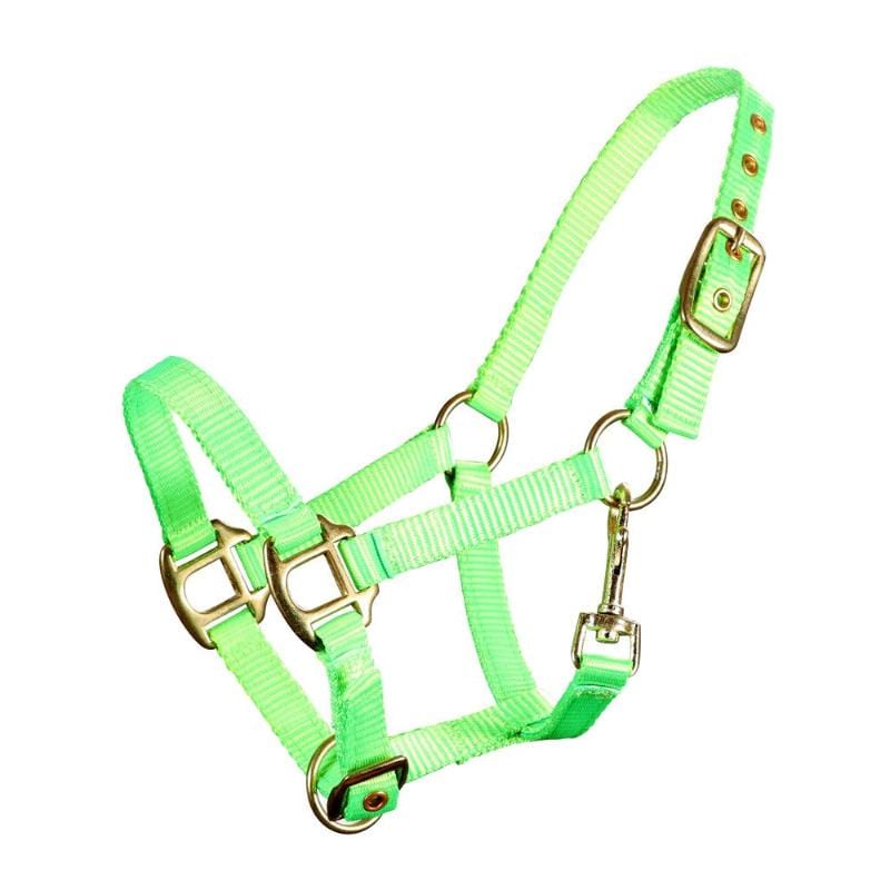 Piccolo Halters S / Fluro Green Piccolo Nylon Mini Halter (PIC1500)