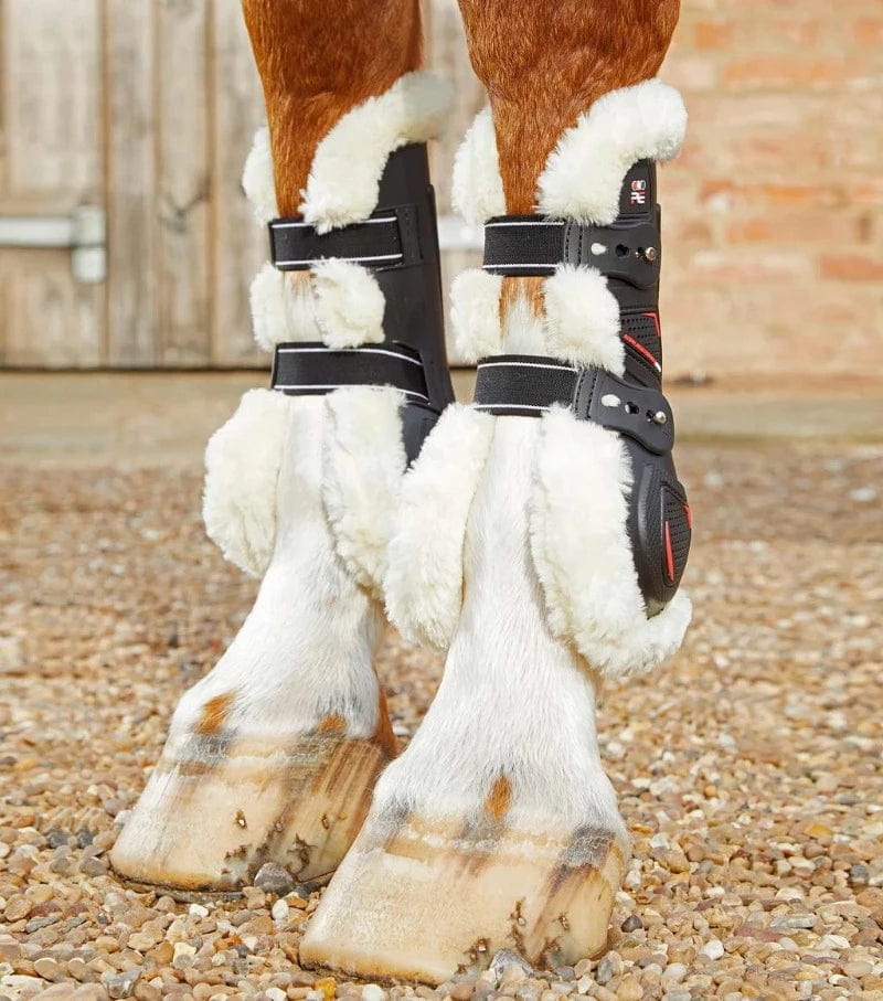 Premier Equine Horse Boots & Bandages M / Black Premier Equine Techno Wool Tendon Boots (1039)