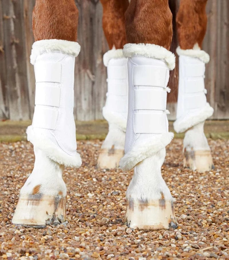 Premier Equine Horse Boots & Bandages M / White Premier Equine Techno Wool Brushing Boots (1038)