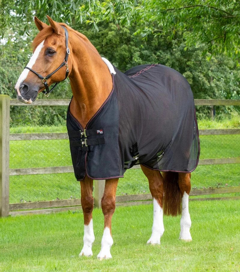 Premier Equine Summer Horse Rugs 6ft0 / Black Premier Equine Ventoso Mesh Cooler Rug