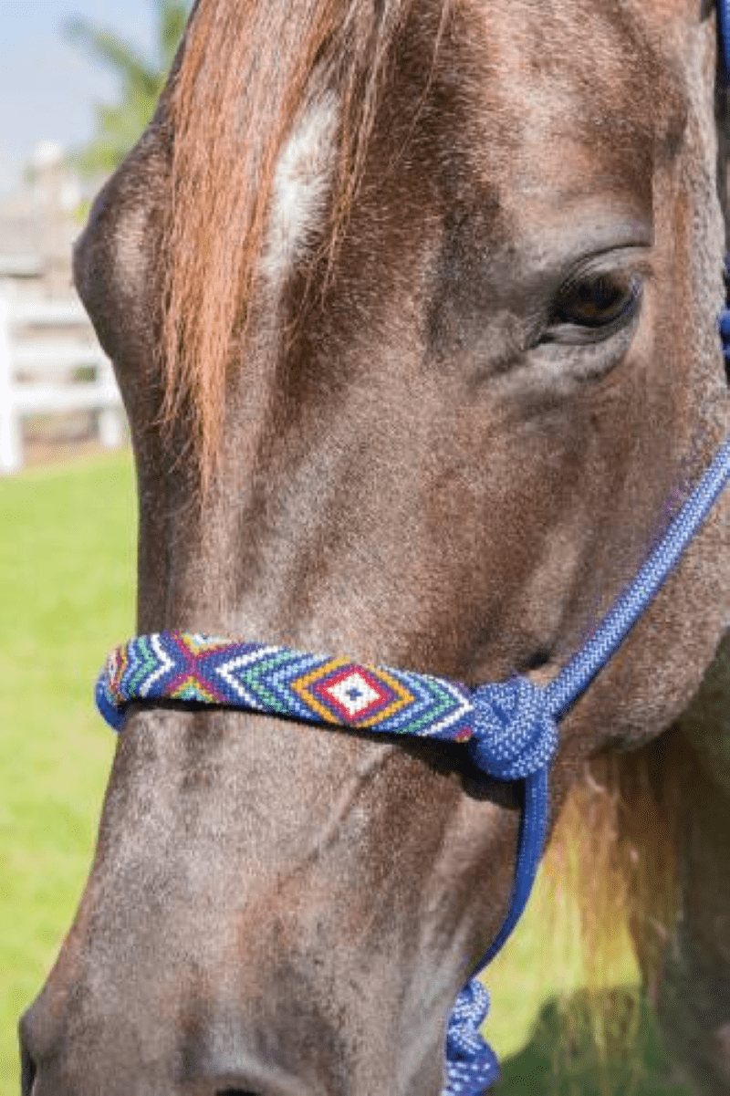 Professional Choice Halters Royal Pro Choice Beaded Rope Halter with Lead (PRC5050)