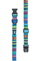 Pure Western Pet Accessories Pure Western Dog Collar Bowie