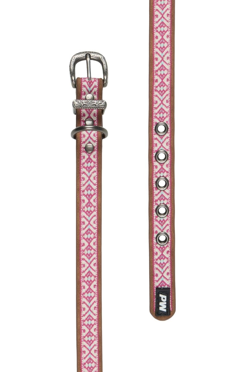 Pure Western Pet Accessories Pure Western Dog Collar Cosmo