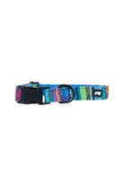 Pure Western Pet Accessories XS / Blue Pure Western Dog Collar Bowie