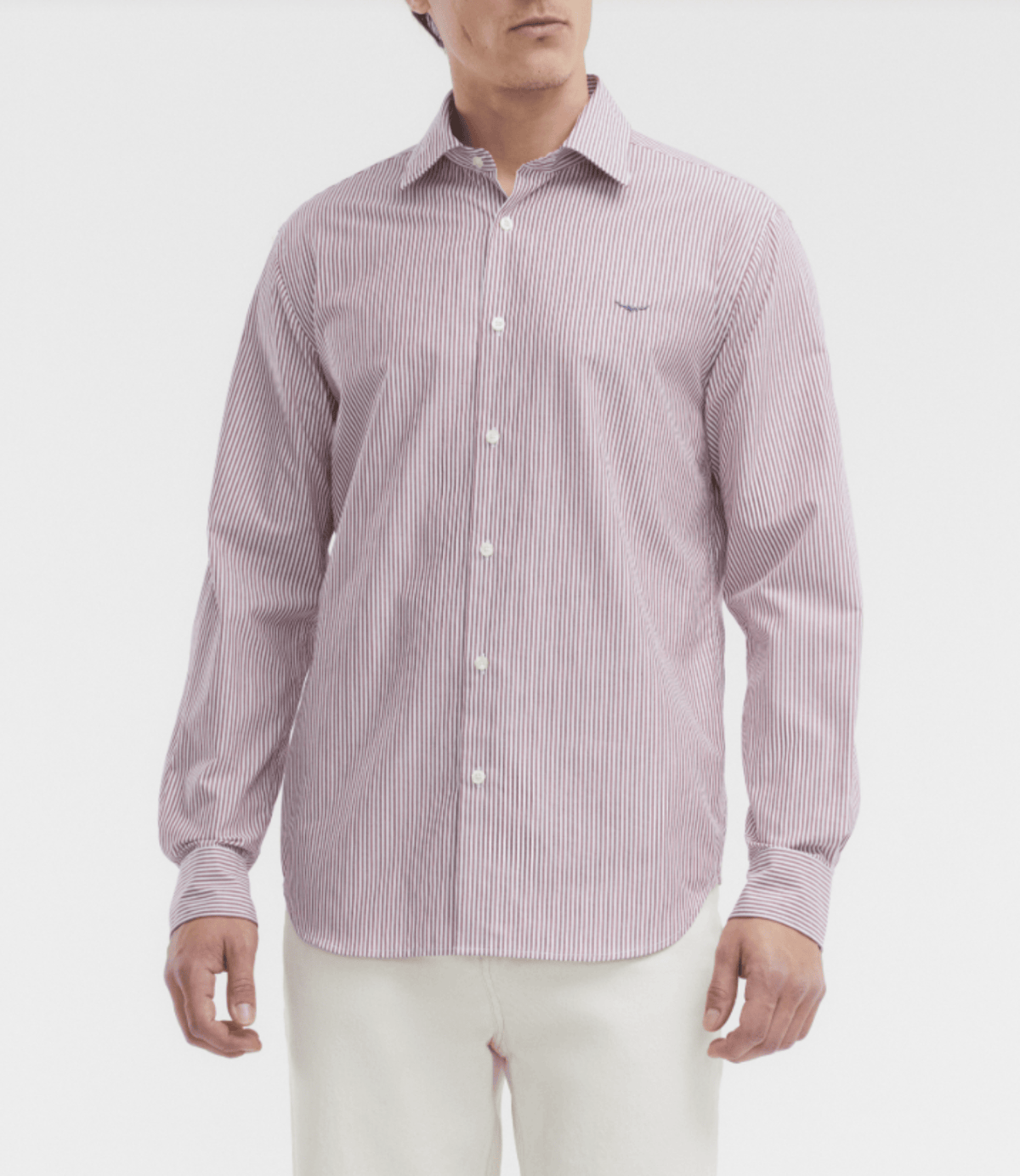 RM Williams Mens Shirts S / Rust RM Williams Shirt Mens Sommers Poplin Stripe