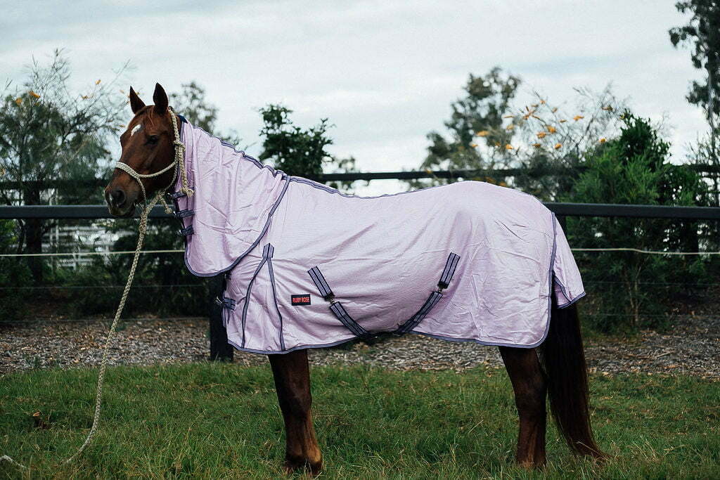 Ruby Rose Summer Horse Rugs Ruby Rose Mesh Combo (RRMESH)