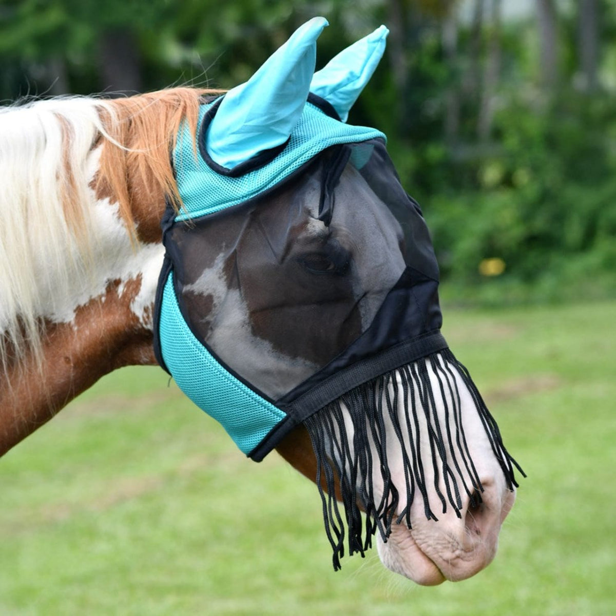 Saddlery Trading Company Fly Masks - Bonnets Cob / Teal Fly Mask with Ear & Nose Fringe