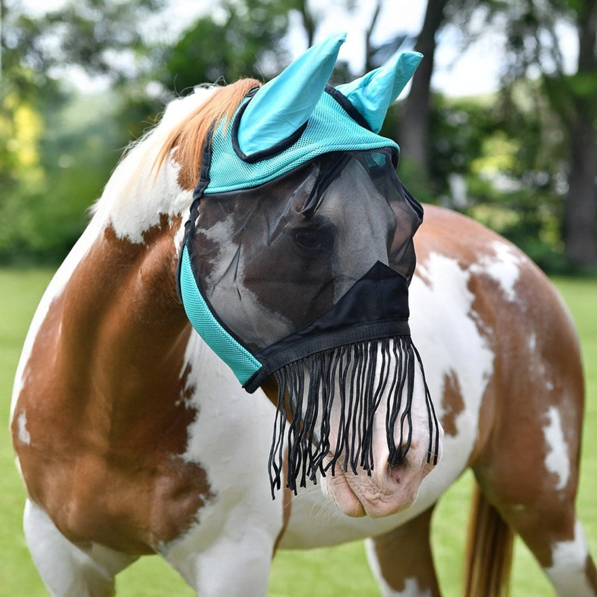 Saddlery Trading Company Fly Masks - Bonnets Cob / Teal Fly Mask with Ear & Nose Fringe