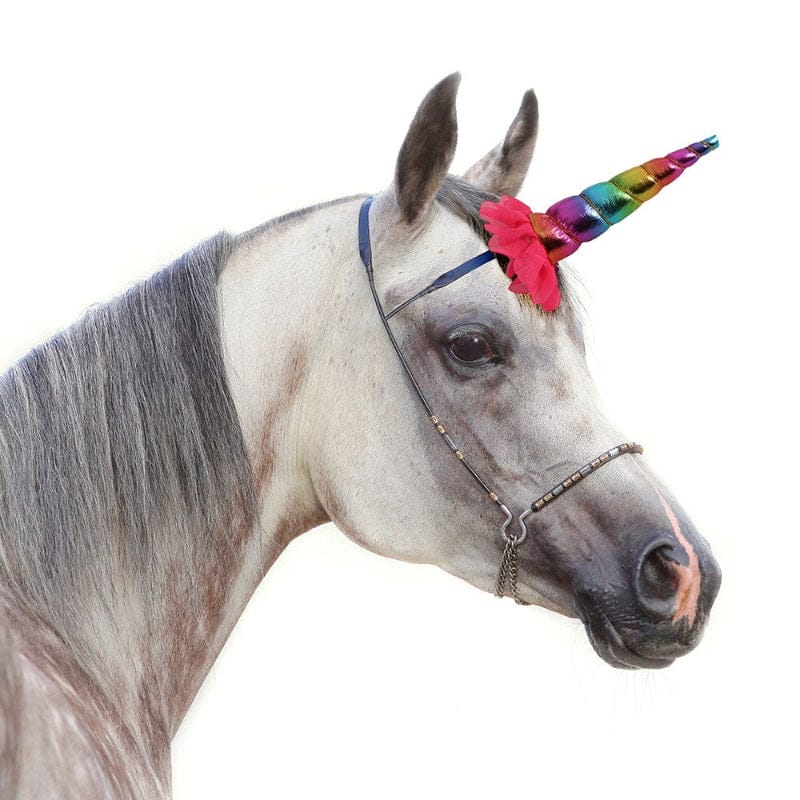 Saddlery Trading Company Gifts - Homewares Rainbow Clip On Unicorn Horn (STB8650)