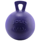 Saddlery Trading Company Stable - Tack Room Accessories 20cm / Purple Horse Toy Ball