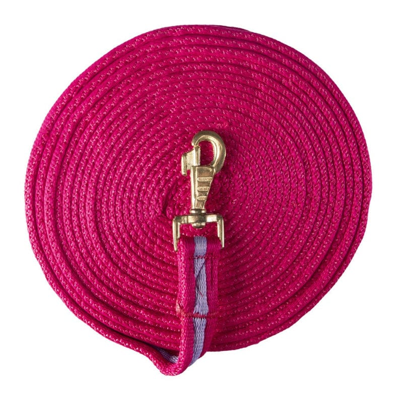 Saddlery Trading Company Training Equipment Cerise/Purple Soft Tubular Web Lunge Lead