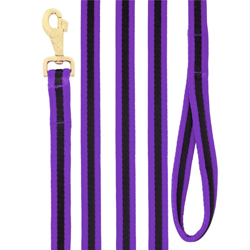 Saddlery Trading Company Training Equipment Soft Tubular Web Lunge Lead