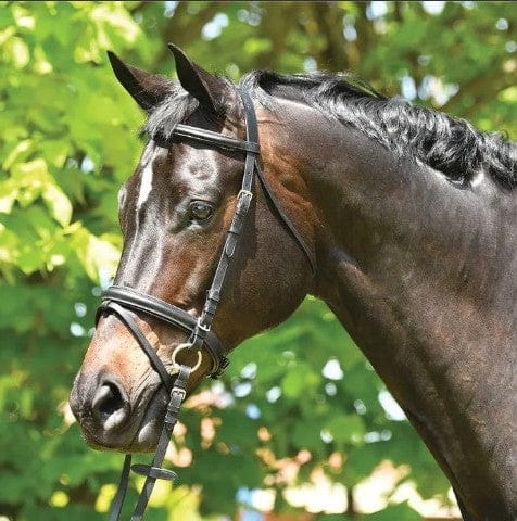 Saddleworld Bridles Pony / Black Eurohunter Dressage Snaffle Bridle