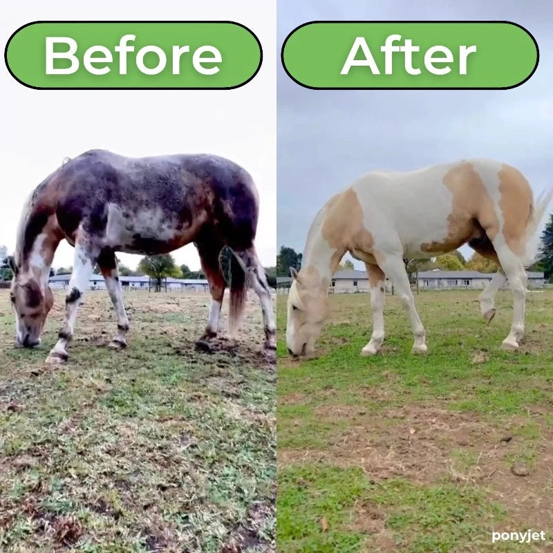 Saddleworld Grooming Pony Jet 3.0 (PONYJET3.0)