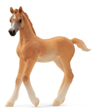 Schleich Toys Schleich Toy Arab Foal