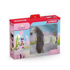 Schleich Toys Schleich Toys Sofia & Dusty Starter Set