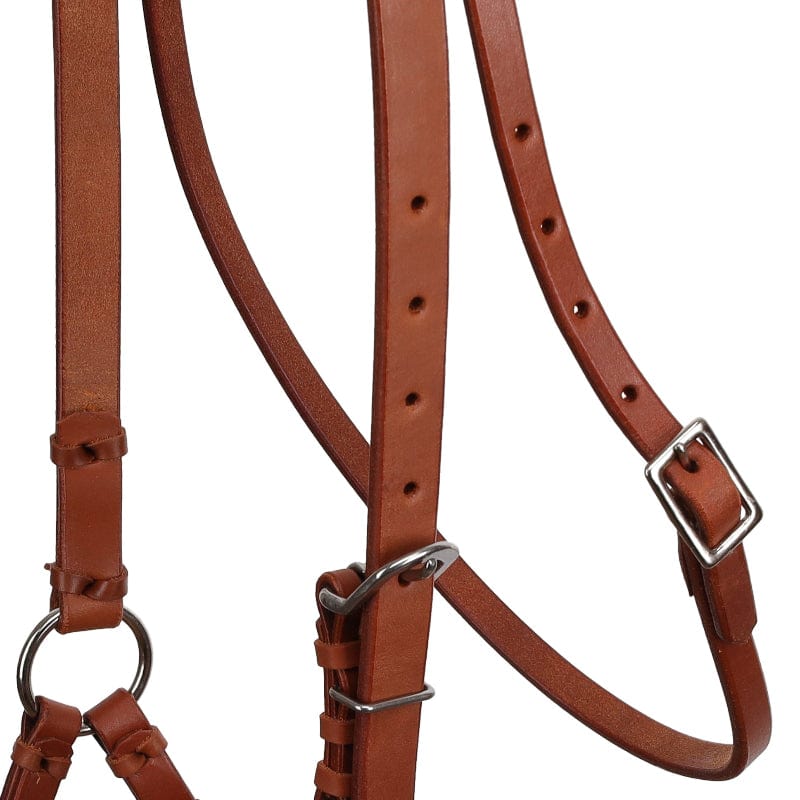 Showman Bridles Cob/Full Showman Bridle Sidepull with Rolled Leather Nose